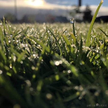 奔跑姐妹兄弟于2022-03-23 08:03发布的图片