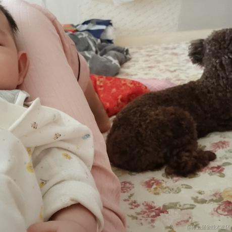 用户3793于2023-06-07 07:57发布的图片