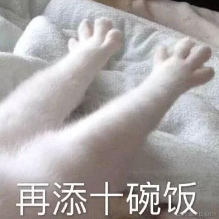 有一只猪于2022-04-27 12:23发布的图片