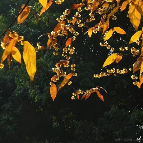 神威如狱于2023-01-16 23:02发布的图片