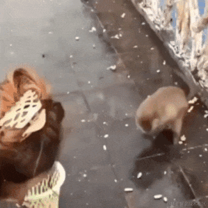 奔跑的水瓜于2022-06-17 08:53发布的图片