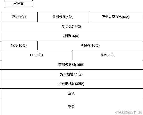IP报文_pntAbih4XQ.png