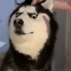 呀呀呀呀于2020-11-27 08:15发布的图片