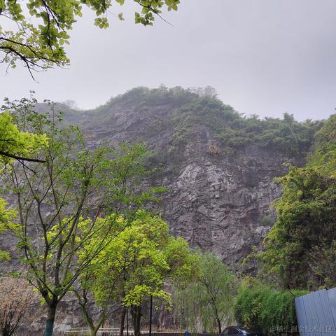 Sarah_于2024-05-28 08:54发布的图片