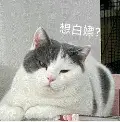 image-20231013112350461.png