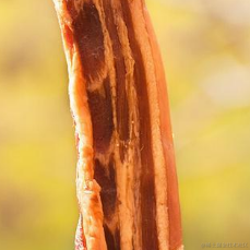 troubleIE6于2023-02-01 11:18发布的图片