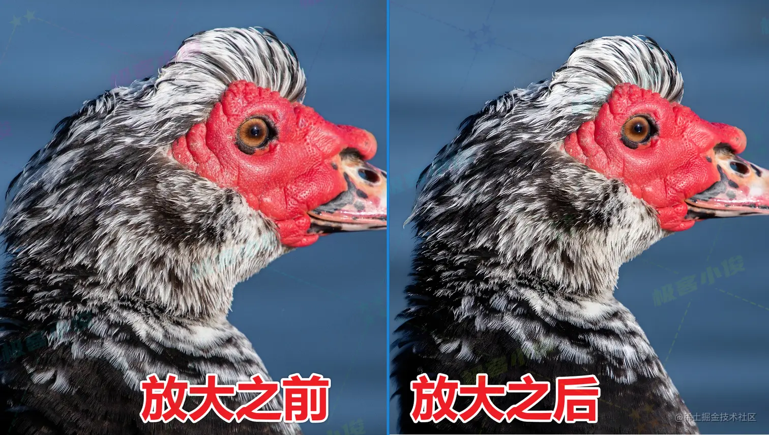 ai_imgSize_2.png