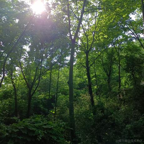 代码大师于2024-05-09 18:29发布的图片