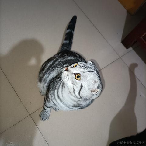 用户2469611626166于2022-11-22 23:02发布的图片