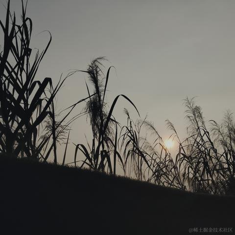 渚姐姐今天歌手出道了吗于2022-12-12 21:51发布的图片