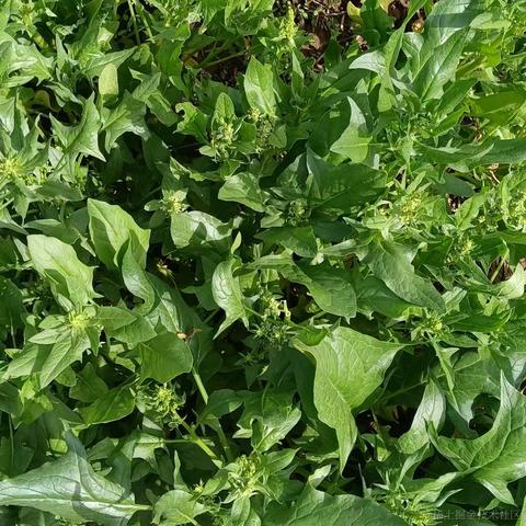 珑墨于2021-05-05 08:35发布的图片