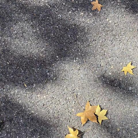 和稀土掘金矿于2022-11-07 16:29发布的图片