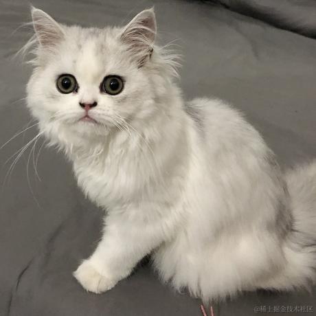 众里寻她千百度于2023-06-02 15:41发布的图片