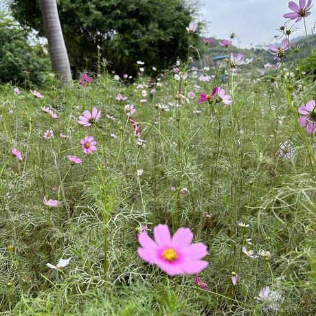 用户6714380821172于2023-05-23 14:14发布的图片