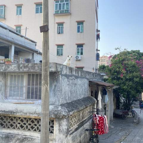 103于2022-04-10 22:20发布的图片