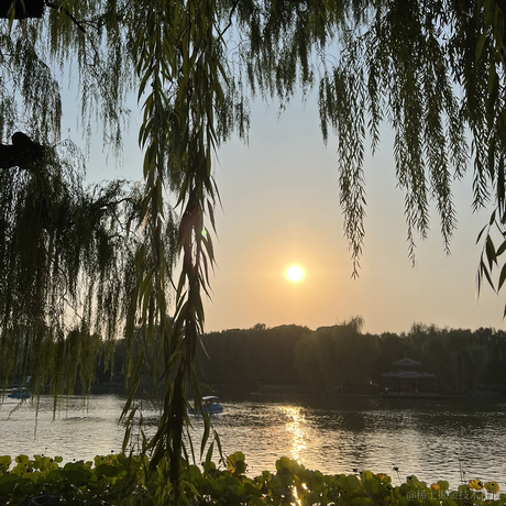 我听说名字起的很长的话会有傻子跟着一起念于2022-11-13 09:54发布的图片