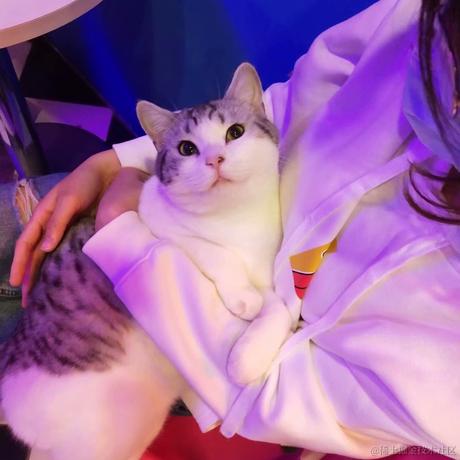 爱薪掘萝于2021-07-20 13:03发布的图片