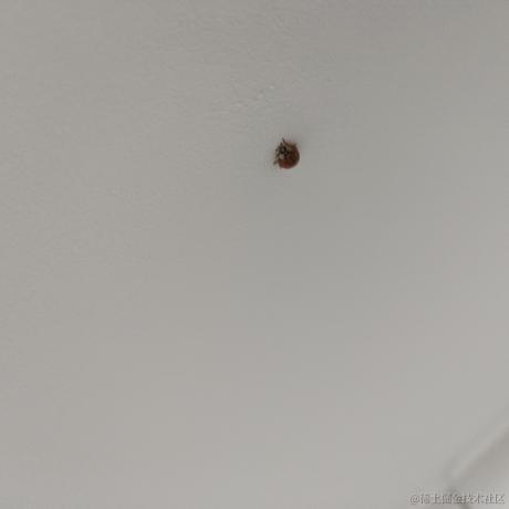 啦啦啦673于2023-06-29 14:17发布的图片