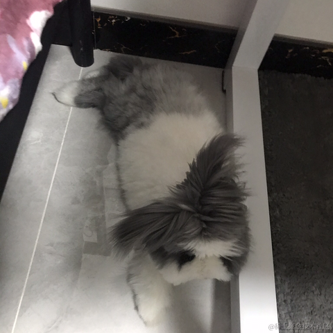 陇锦于2021-01-15 11:05发布的图片