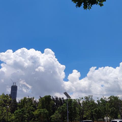934于2021-05-18 12:17发布的图片