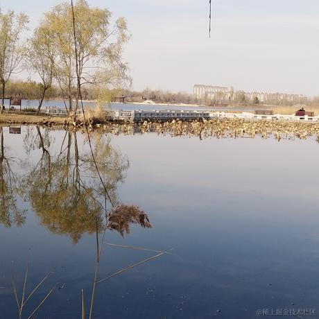 西风断冷月残于2022-11-25 09:41发布的图片