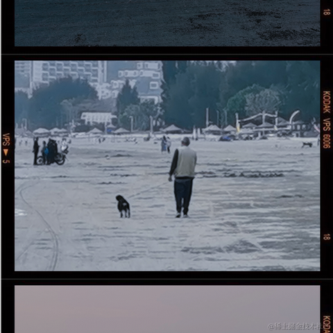 Canivores于2023-03-14 12:04发布的图片