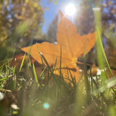 和稀土掘金矿于2022-11-07 16:29发布的图片