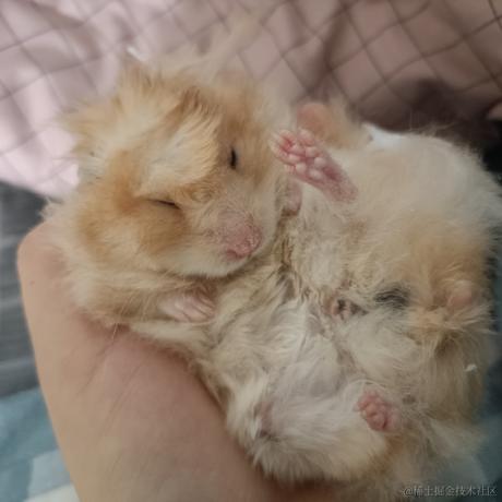 内mar儿于2022-12-03 19:17发布的图片