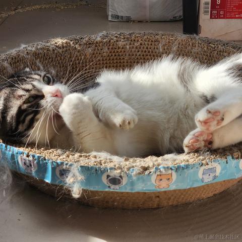 已注销于2023-05-17 08:47发布的图片