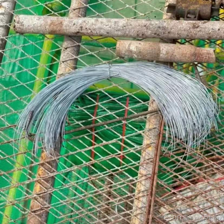 东方红太阳升于2023-03-27 13:51发布的图片