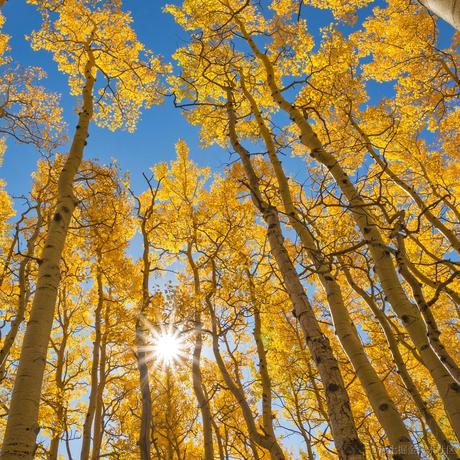 Paradise丶朽木于2022-09-23 09:04发布的图片