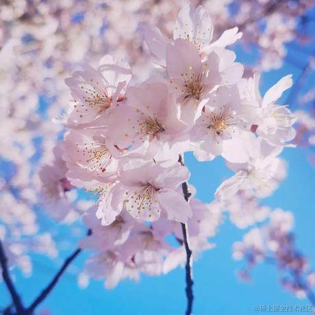 止步夕阳于2022-12-11 22:39发布的图片