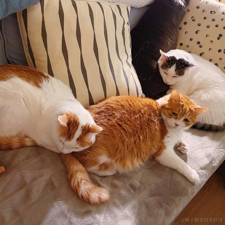 囧史密斯于2022-12-02 19:51发布的图片