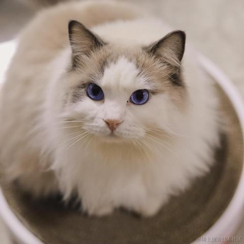 Charlotte于2021-12-23 15:51发布的图片