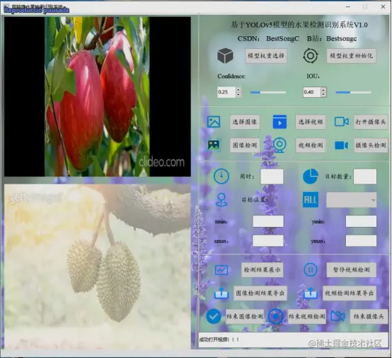 高精度水果检测识别系统2446.png