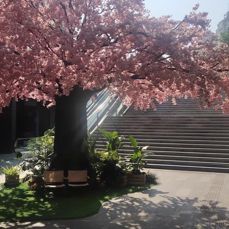 margin_100px于2023-06-14 08:09发布的图片