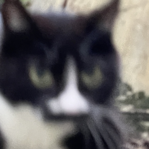 喵桑阿里嘎多版于2023-04-07 22:58发布的图片