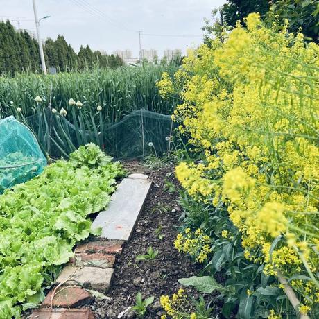 西vvi于2021-09-14 22:15发布的图片