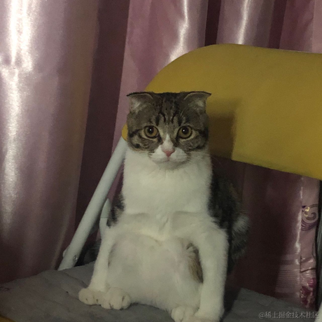 Daenery于2021-12-25 15:28发布的图片