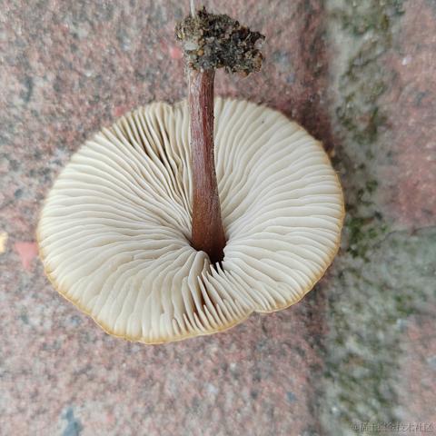 Uwiling于2022-11-21 15:46发布的图片