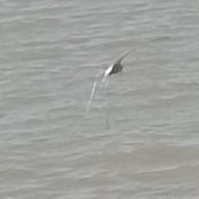 风的温度于2023-07-05 14:35发布的图片