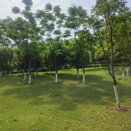 Sivan__Xin于2022-05-03 10:29发布的图片