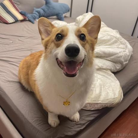 琥鱼于2023-04-28 22:45发布的图片