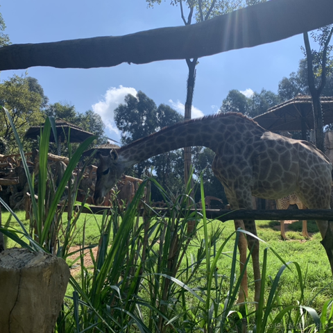 切图_仔于2022-10-05 21:46发布的图片