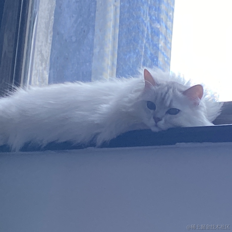 她像一只猫于2022-07-12 10:36发布的图片