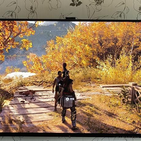 良介于2022-11-18 11:09发布的图片