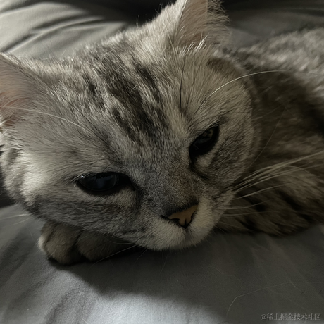 heronCCC于2023-05-27 10:08发布的图片