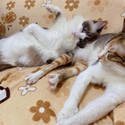 手捧星星于2022-08-24 11:28发布的图片