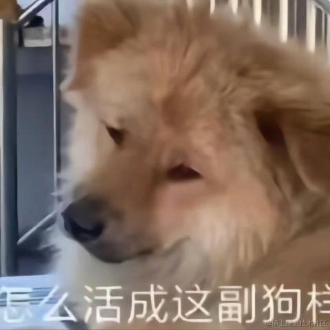 Autismo于2023-05-10 17:09发布的图片