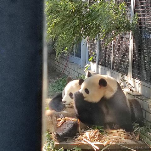 洛克克于2023-02-13 11:56发布的图片